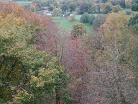 Manchester and Salford Ramblers, Alderley Edge 2016